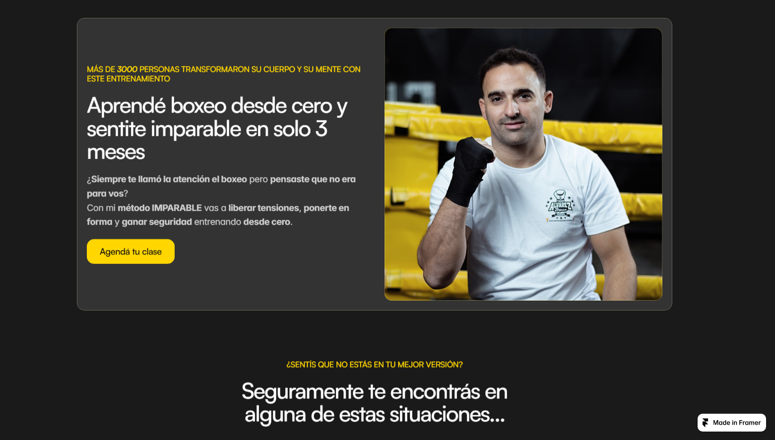 Team Alvarez - Boxeo